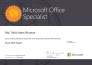 develop full excel based accounting application